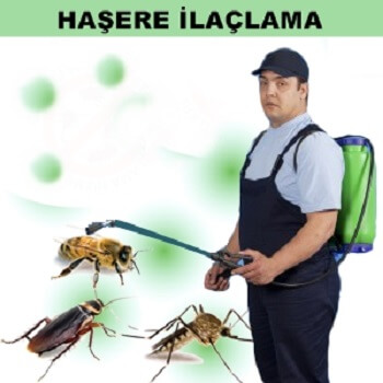 İspir Böcek İlaçlama